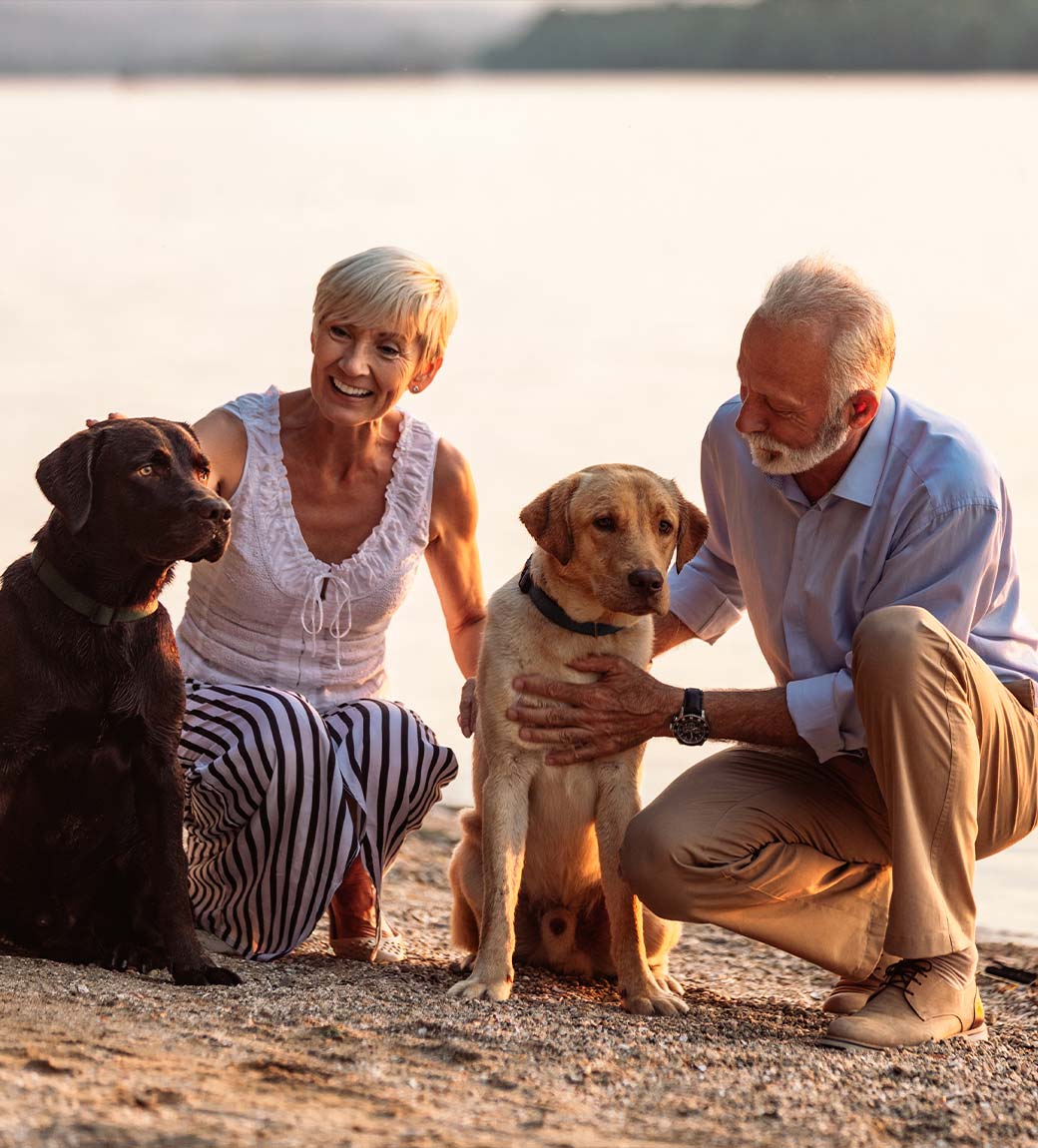 couple on beach with their two dogs safe retirement income white bear lake mn
